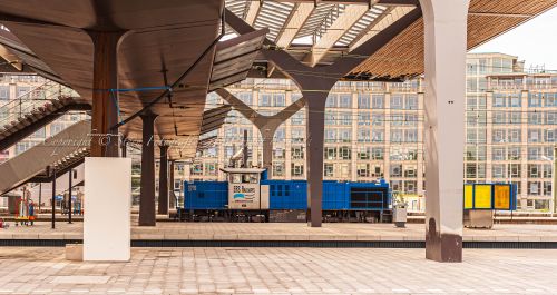 Winnaar ERS fotowedstrijd