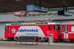 RhB. Ge 4/4 II, Edelweiss
