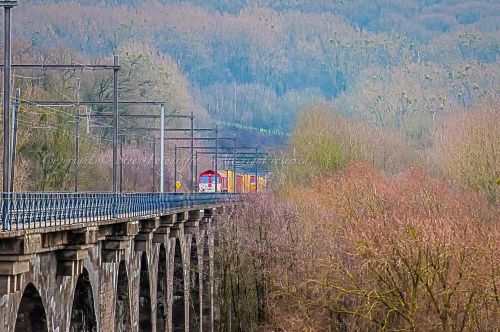 Openingsfoto Fotostandpunten Belgie